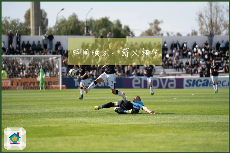 田间映龙，薪火相传