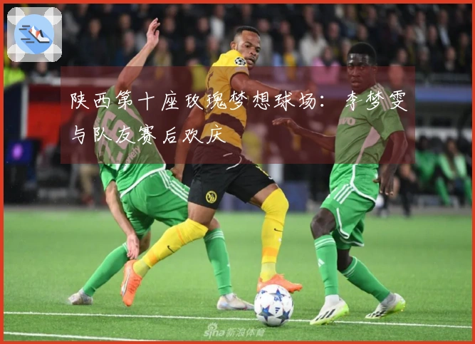 陕西第十座玫瑰梦想球场：李梦雯与队友赛后欢庆