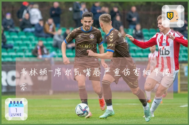 韦林顿-席尔瓦嘴唇严重伤害细节揭示